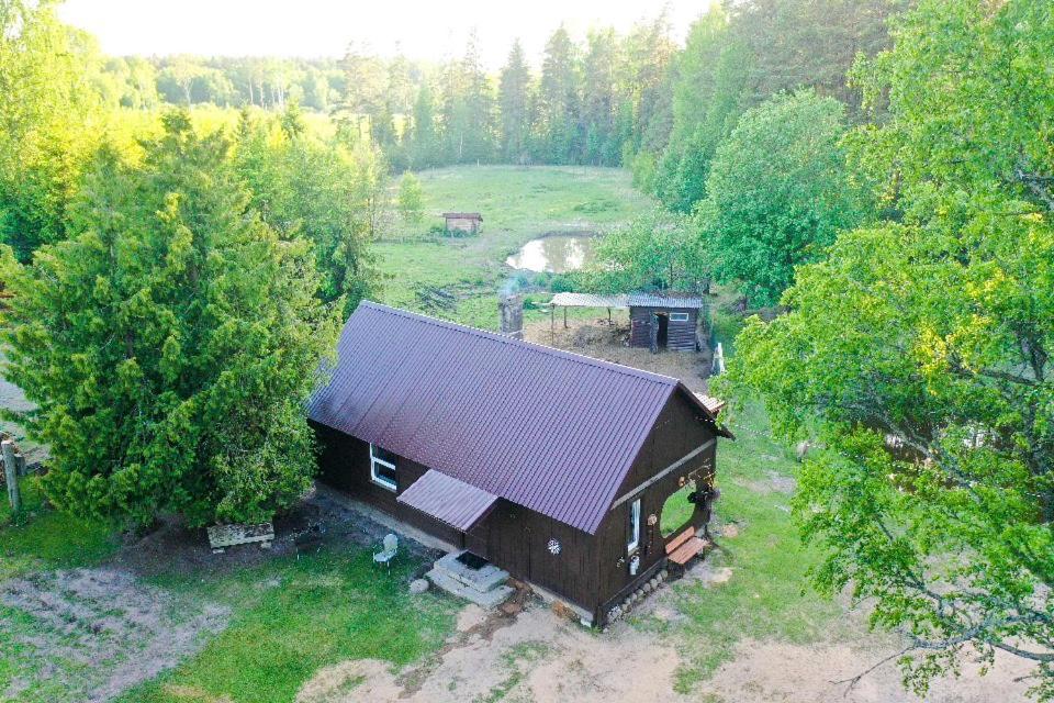 Private Farm Jakuzzi Sauna In The Forest Talsi Zewnętrze zdjęcie