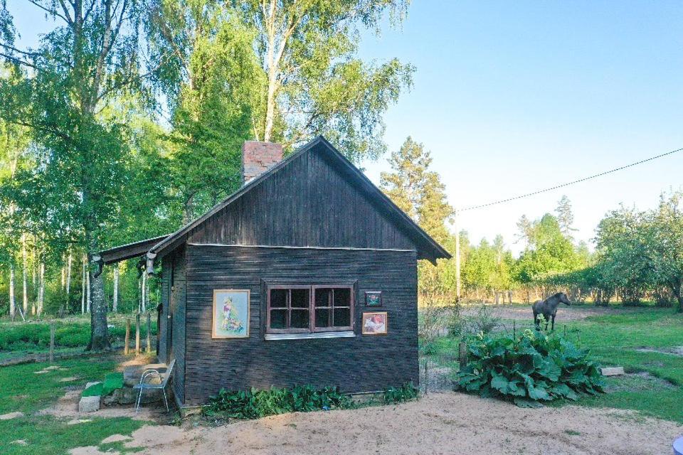 Private Farm Jakuzzi Sauna In The Forest Talsi Zewnętrze zdjęcie